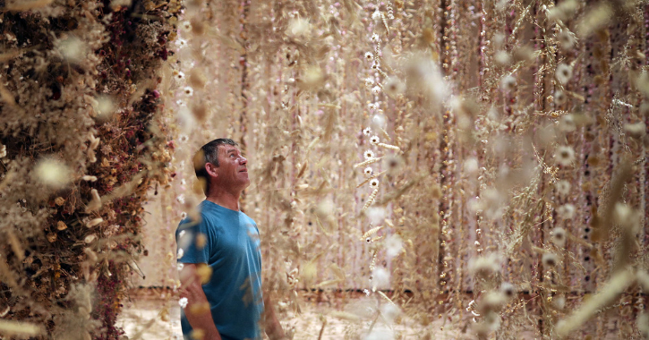 Man looking at Seasons artwork by Rebecca Louise Law © Mark Jones